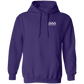 333 Printing Pro Pullover Hoodie CT